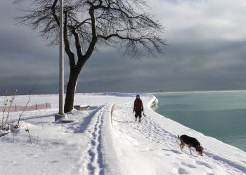 Coldest Blast of Winter Shakes Energy Markets Across the U.S.