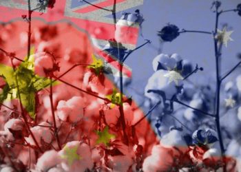 China’s trade sanctions on Australian agriculture force farmers to find new markets