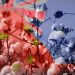 China’s trade sanctions on Australian agriculture force farmers to find new markets
