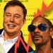 How the Stock Market Works Now: Elon Musk Tweets, Millions Buy