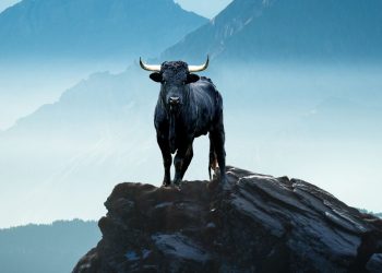 Opinion: What signals the top of a bull market in stocks? Not rising interest rates