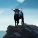 Opinion: What signals the top of a bull market in stocks? Not rising interest rates