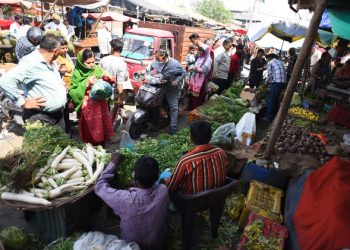 Rs 10.8 cr approved for vegetable markets in Kullu, Lahaul-Spiti : The Tribune India