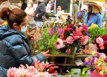 Farmers market start-up fund aims for inclusivity