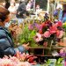 Farmers market start-up fund aims for inclusivity