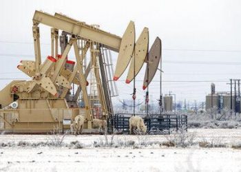 Online banking with Dane County Credit Union down due to inclement weather in Texas | Business News