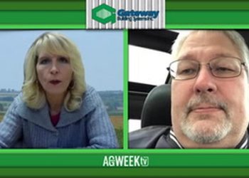 Grain markets experience a WASDE hangover but livestock look stronger