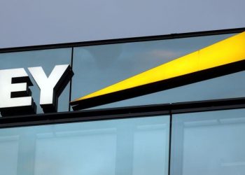 Yemen government appoints Ernst & Young to audit central bank – statement