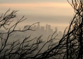 Scientists warn over misuse of climate models in financial markets