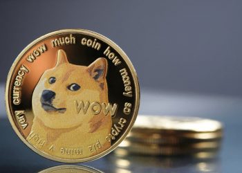 Dogecoin Transactions Are Spiking as Crypto Market Recovers