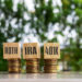 Three stacks of coins topped with wooden blocks labeled "ROTH," "IRA," and "401K" highlight the differences between IRA vs Roth IRA vs 401k, set on a reflective surface against a blurred green natural background. | ZIIMP